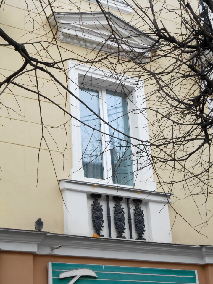 Smolensk, Lenina Street, 15 - 05