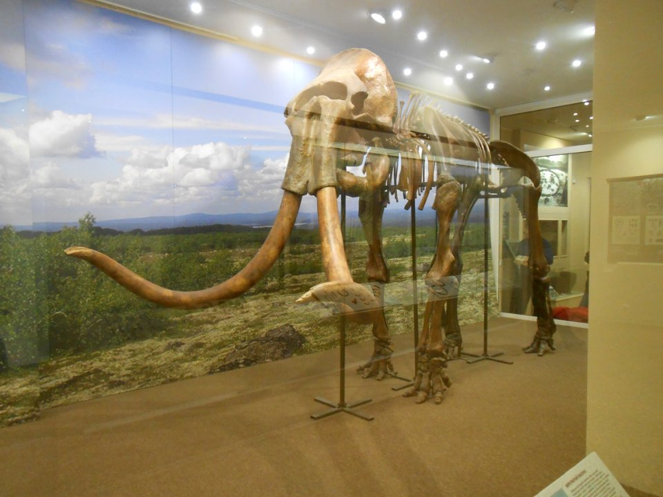 Smolensk Historical Museum - 0042