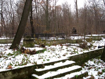 Smolensk Lutheran cemetery 7