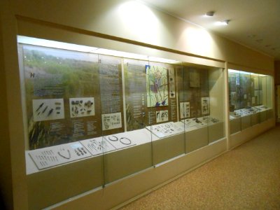 Smolensk Historical Museum - 0435