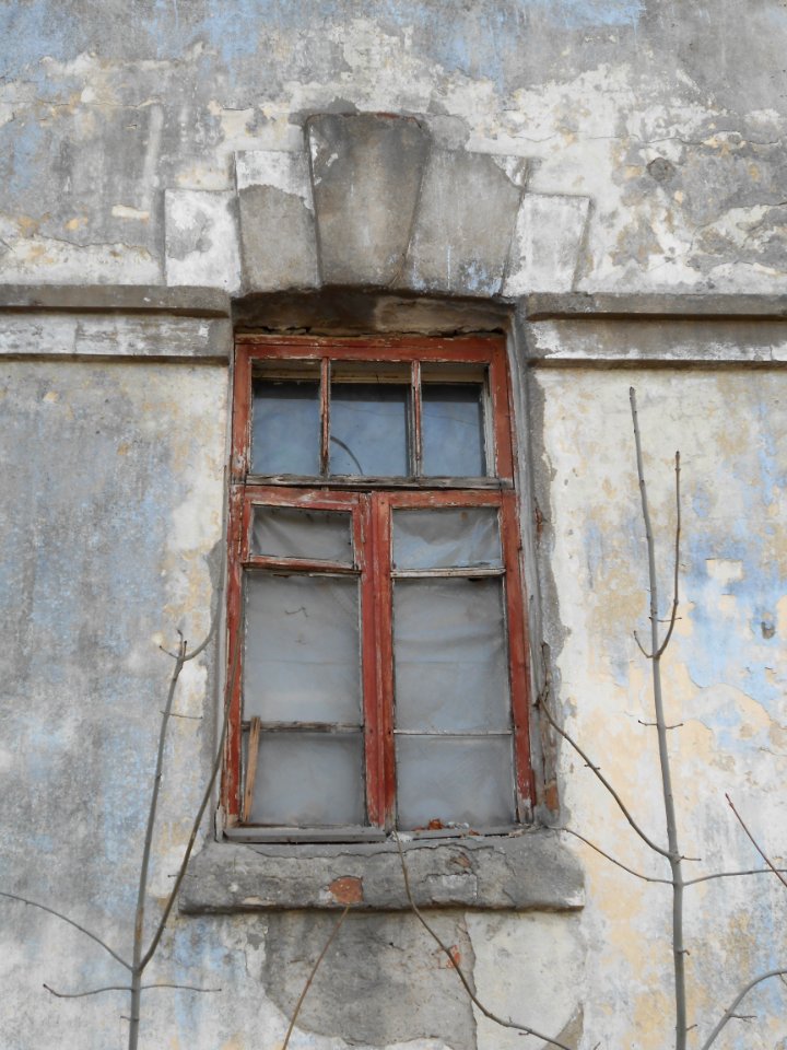 Smolensk, Timiryazev Street, 1 - 14