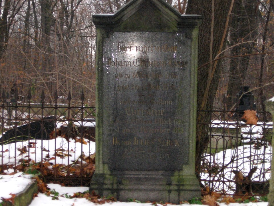 Smolensk Lutheran cemetery 9