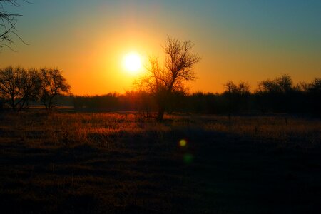 Sunlight nature landscape photo