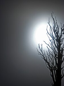 Terror atmosphere backlight