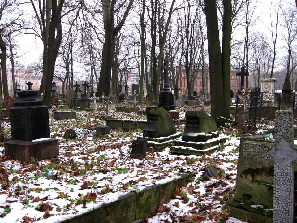 Smolensk Lutheran cemetery 3