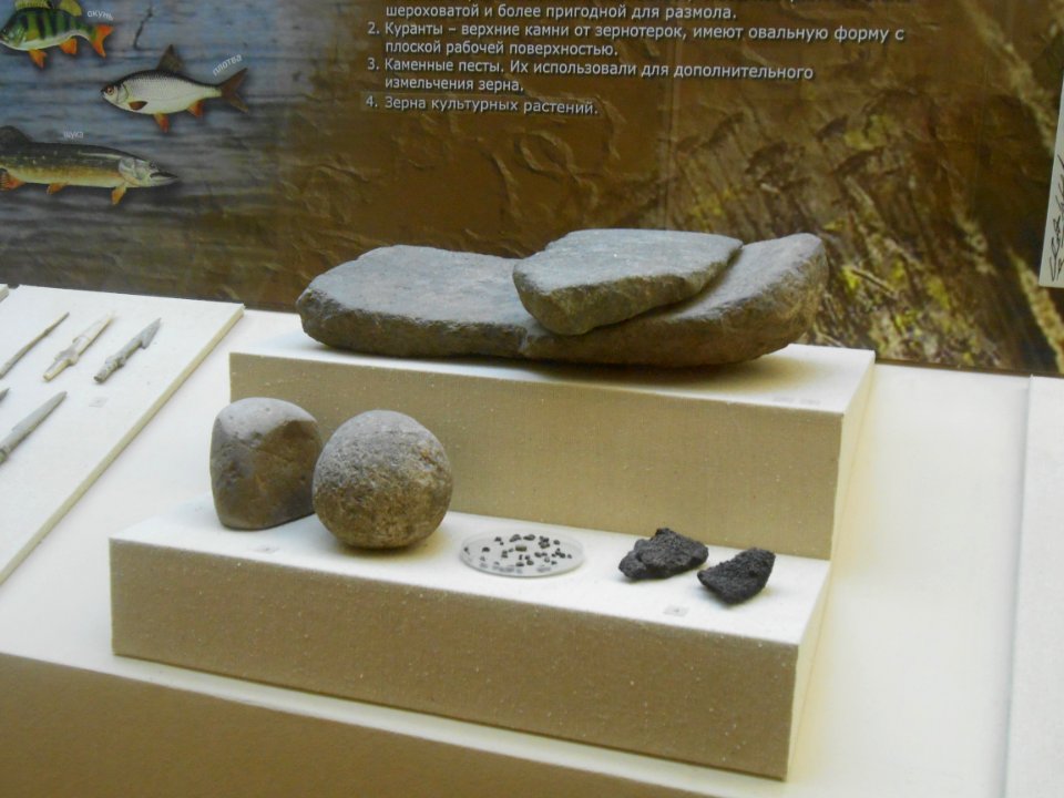 Smolensk Historical Museum - 0048