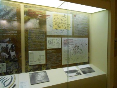 Smolensk Historical Museum - 0039