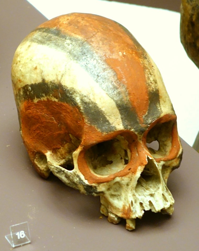 Skull without jawbone, Bougainville, Salomon Islands, 1904 - Südseeabteilung - Ethnological Museum, Berlin - DSC01012