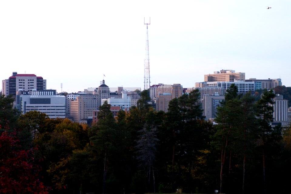 Skyline of Oakland from Schenley Park