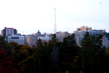 Skyline of Oakland from Schenley Park