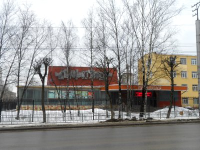Smolensk State Institute of Arts 3