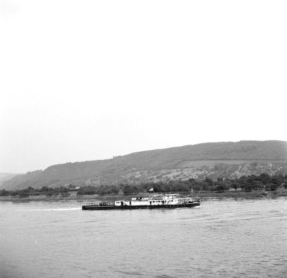 Sleepboot op de Rijn, Bestanddeelnr 254-1797