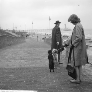 Slecht weer met paasdagen, de Boulevard op Scheveningen, Bestanddeelnr 916-2457
