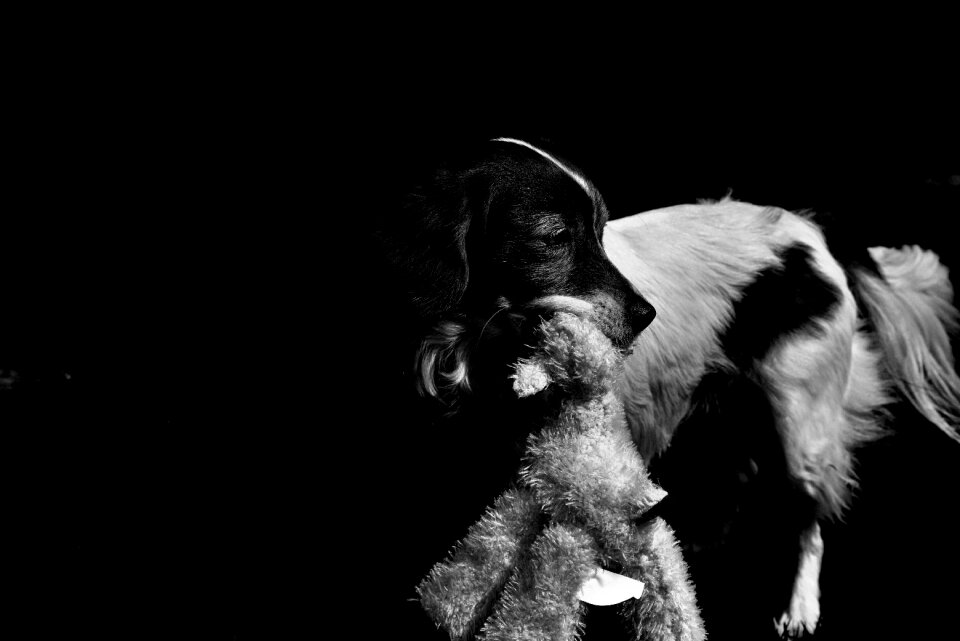 Black white atmosphere mystical