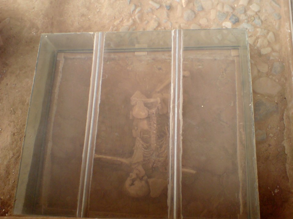 Skeletons in Shadiakh (3)