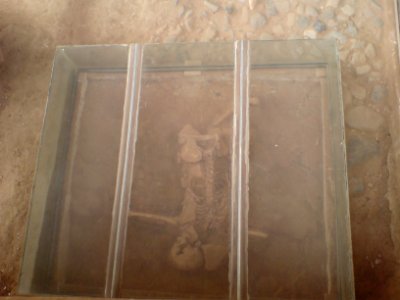 Skeletons in Shadiakh (3)