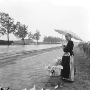 Slecht weer met pinksteren, mensen met paraplus, Bestanddeelnr 917-8444