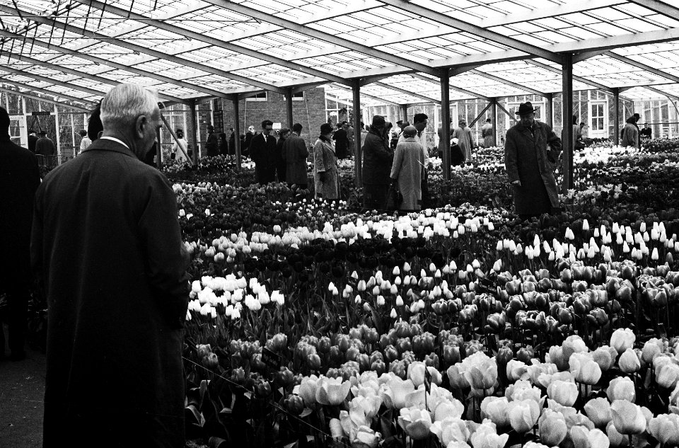 Slecht weer met Pasen, Keukenhof te Lisse, Bestanddeelnr 915-0400