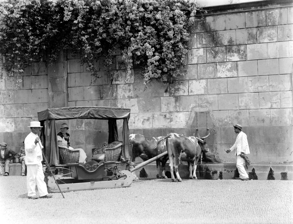 Slede in Funchal, Madeira In de slede van de Polls vrouw Nell Langlais, Bestanddeelnr 252-1548
