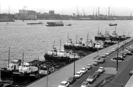 Sleepbootstaking in Rotterdam sleepboten in de Maas liggen stil, overzicht, Bestanddeelnr 924-2282