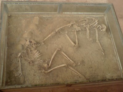 Skeletons in Shadiakh (2)