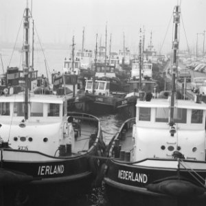 Sleepbootstaking Rotterdamse haven. Sleepboten werkeloos aan de Willemskade te R, Bestanddeelnr 921-8471