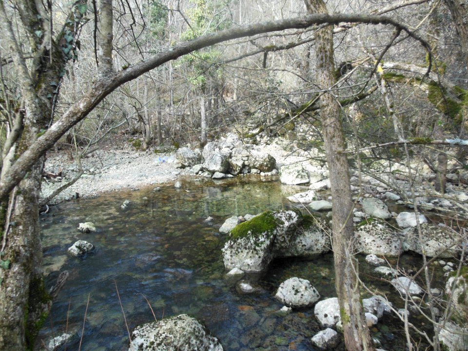 Skelskiy source 3
