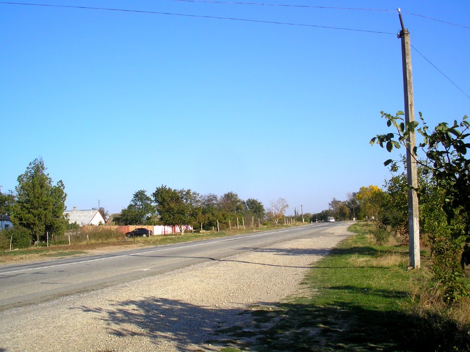 Skvortsovo (Crimea) 11