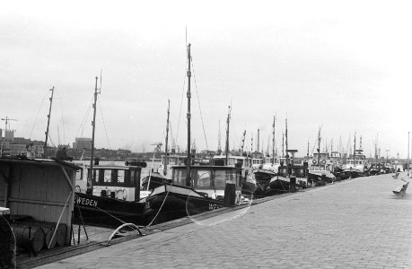 Sleepbootstaking in Rotterdam, Bestanddeelnr 924-2283