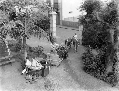 Sledes met bagage bij het Savoy Hotel in Funchal, Madeira, Bestanddeelnr 252-1551
