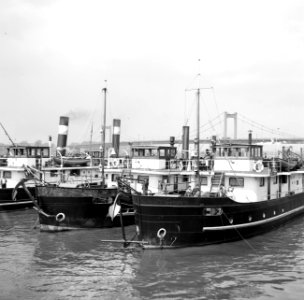 Sleepboten waaronder de Esterel aangemeerd in de haven Duisburg-Ruhrort, Bestanddeelnr 254-0990