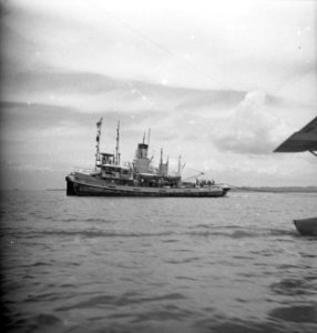Sleepboot, Bestanddeelnr 11229