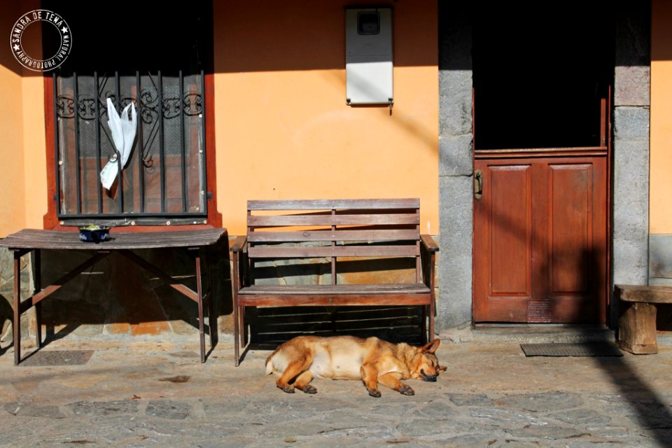 Sleeping (199384945)