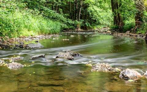 Bank landscape forest photo