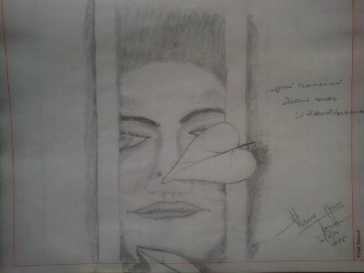 Sketch Manu 1.2