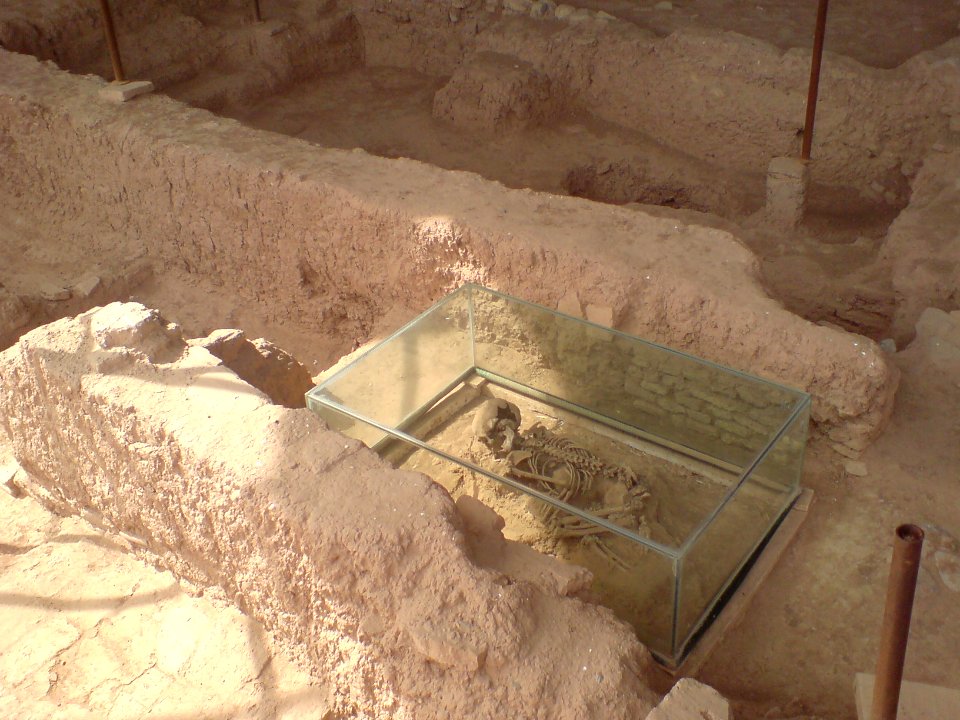 Skeletons in Shadiakh (4)