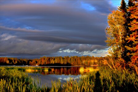 Marsh trees clouds photo
