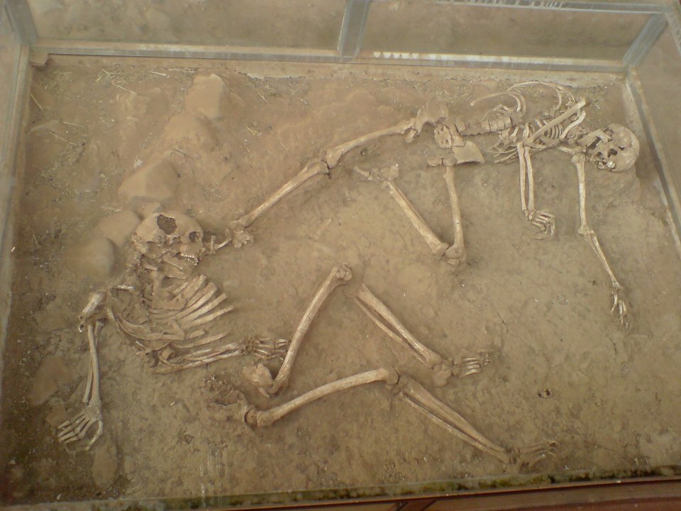 Skeletons in Shadiakh (1)