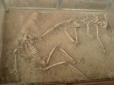Skeletons in Shadiakh (1)