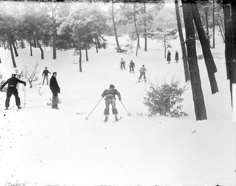 Skiwedstrijd bij Den Bosch Drunense duinen, Bestanddeelnr 904-3683