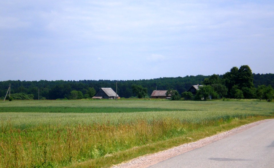 Slabadėlė1