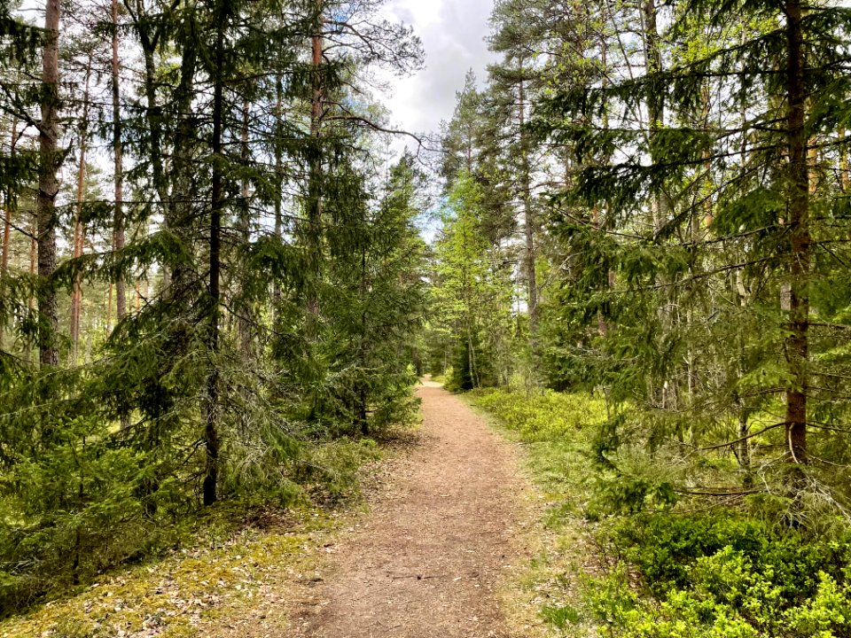 Skirtorpssjön stig