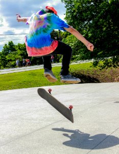 Skate (89863517)
