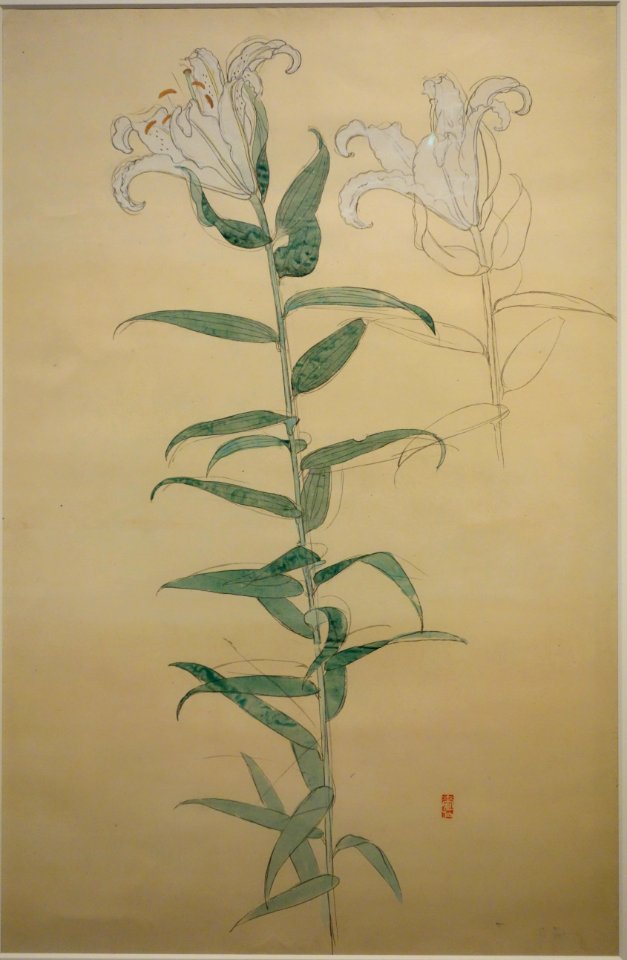 Sketch of White Lilies by Bakusen Tsuchida, 1935, sumi and color on paper - National Museum of Modern Art, Tokyo - DSC06708