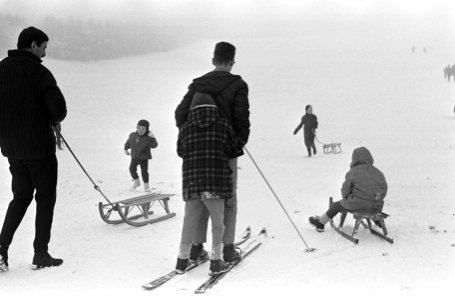 Ski-liefhebbers in Amsterdams Bos, Bestanddeelnr 918-7752