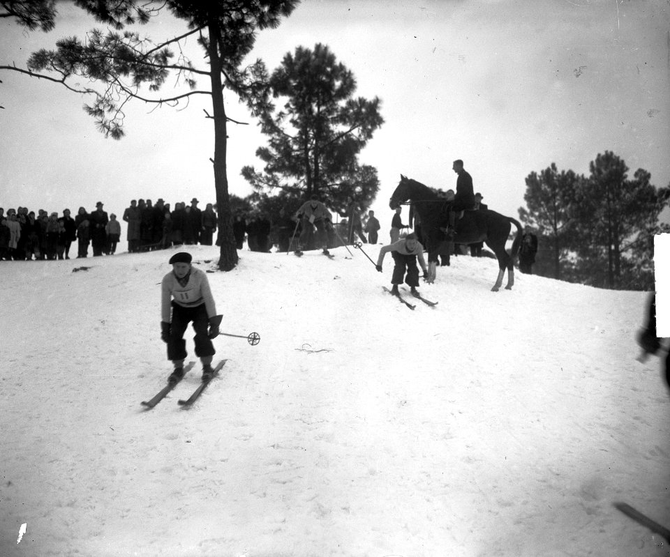 Skiwedstrijd bij Den Bosch Drumense duinen, Bestanddeelnr 904-3684