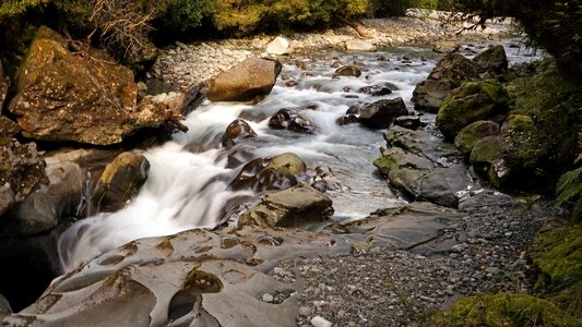 New zealand watercourse cold