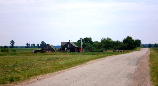 Skripija1