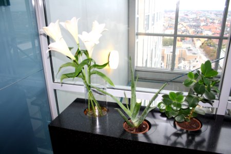 Skrapan, Open House Stockholm 2016, bild 19