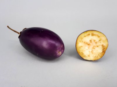 Small eggplant and cross section 2017 B